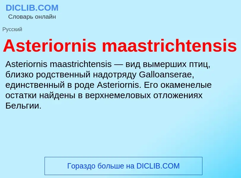 What is Asteriornis maastrichtensis - definition