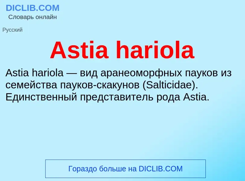 Τι είναι Astia hariola - ορισμός