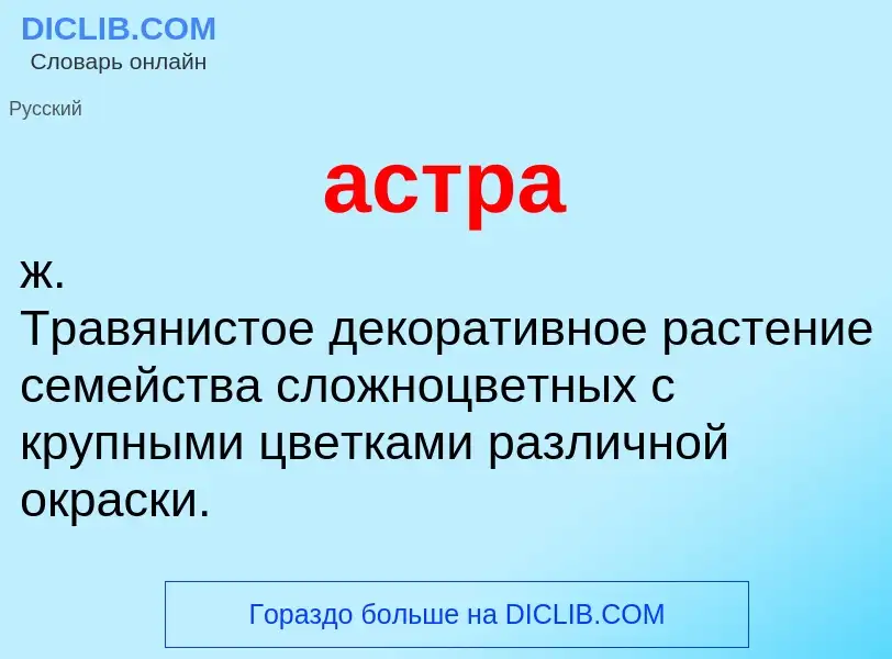 O que é астра - definição, significado, conceito