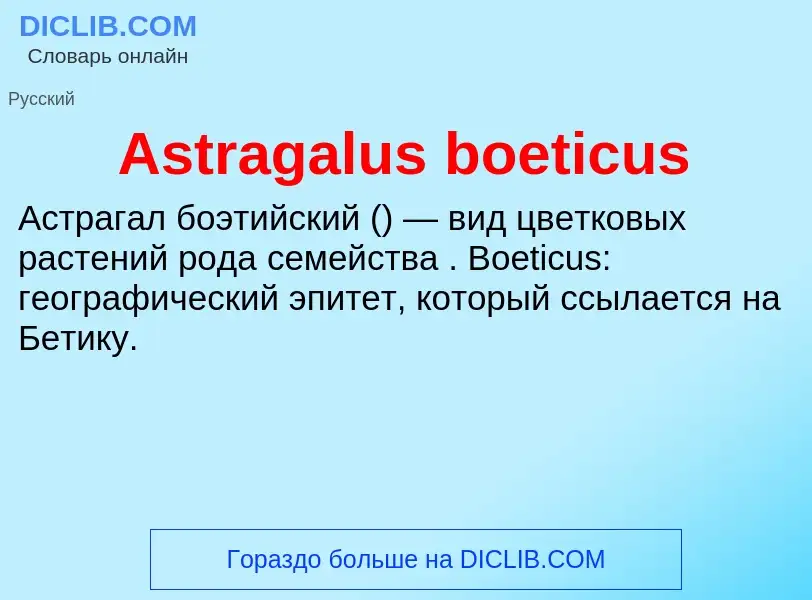 Τι είναι Astragalus boeticus - ορισμός