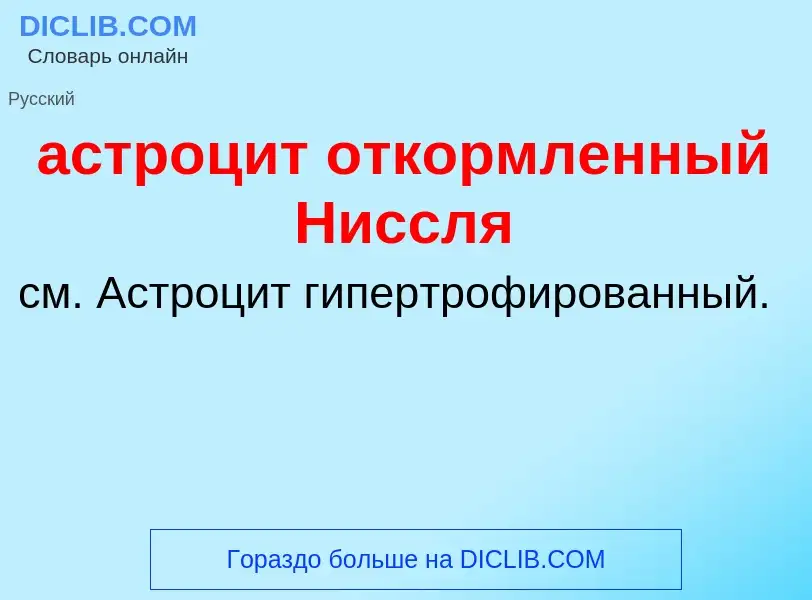 Che cos'è астроцит откормленный Ниссля - definizione