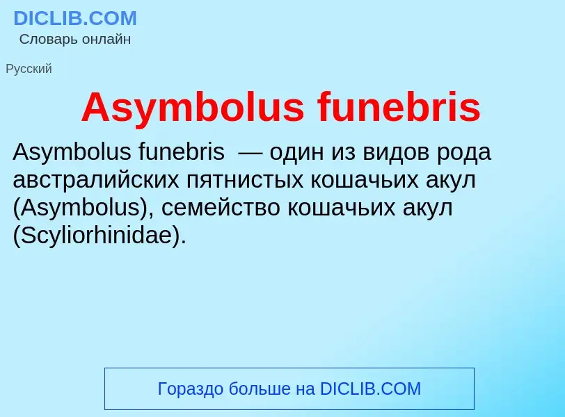 Τι είναι Asymbolus funebris - ορισμός