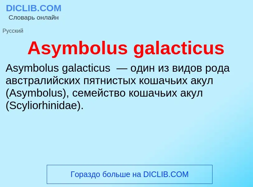 Τι είναι Asymbolus galacticus - ορισμός