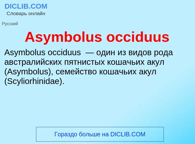 Τι είναι Asymbolus occiduus - ορισμός