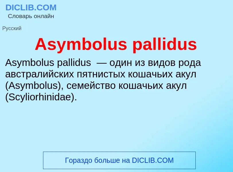 ¿Qué es Asymbolus pallidus? - significado y definición