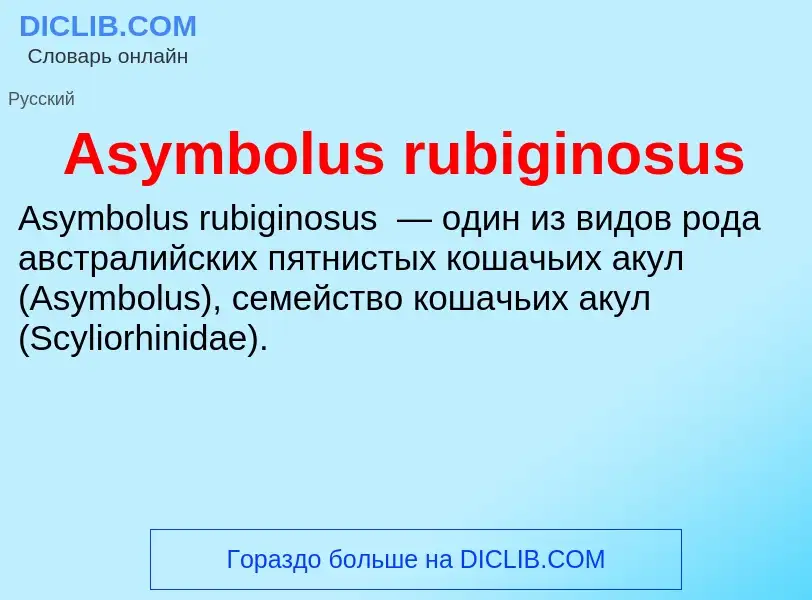 ¿Qué es Asymbolus rubiginosus? - significado y definición