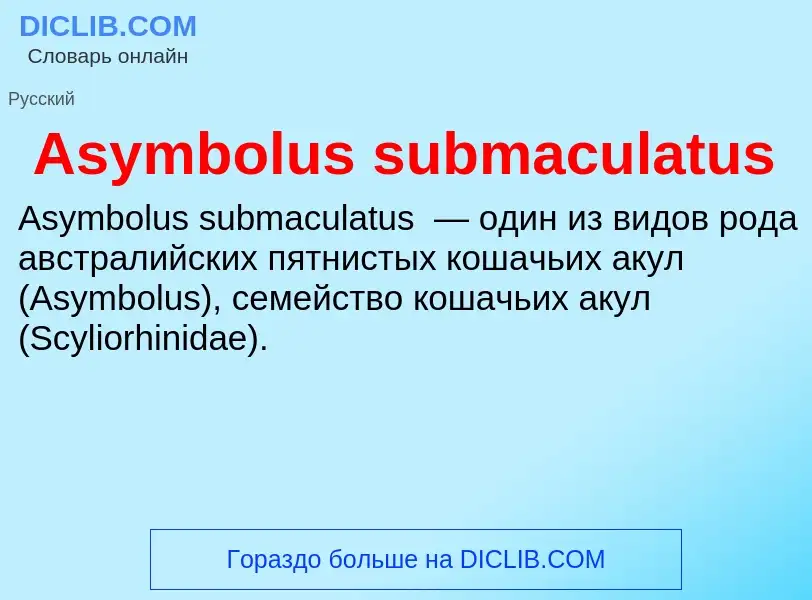 Τι είναι Asymbolus submaculatus - ορισμός