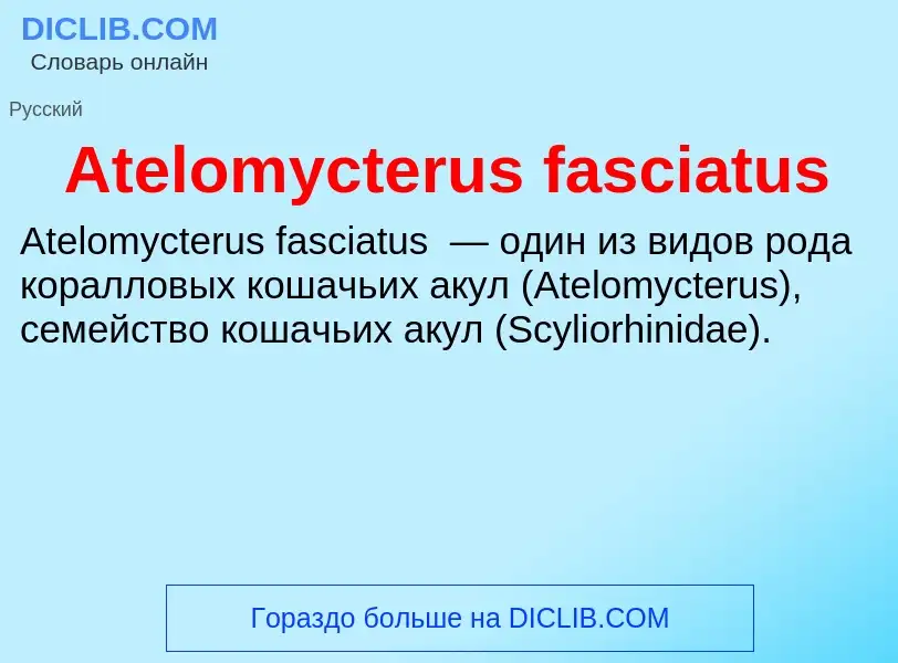 Τι είναι Atelomycterus fasciatus - ορισμός