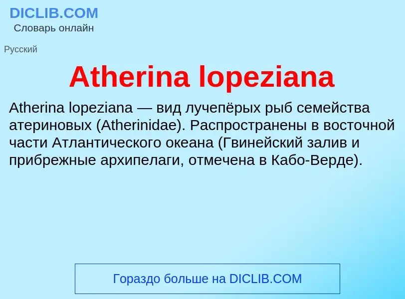 Was ist Atherina lopeziana - Definition