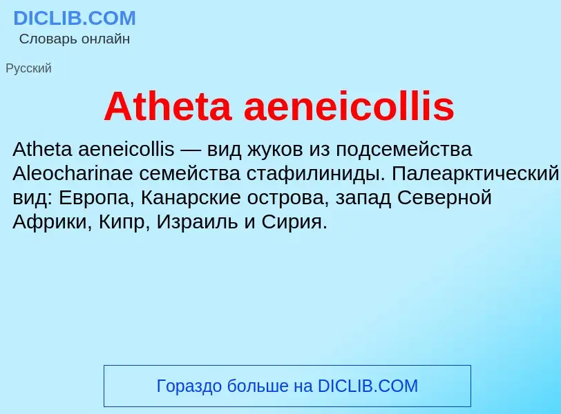 ¿Qué es Atheta aeneicollis? - significado y definición