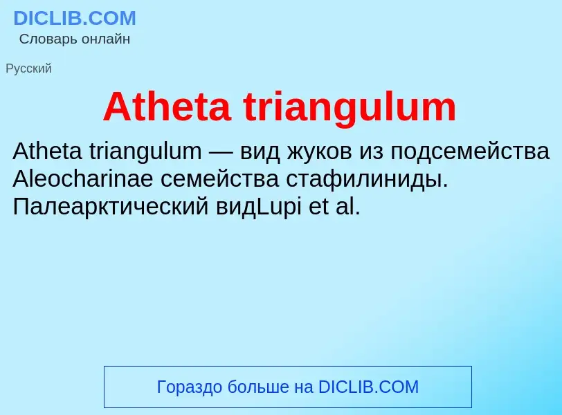 Τι είναι Atheta triangulum - ορισμός