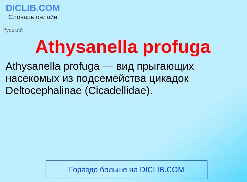 Τι είναι Athysanella profuga - ορισμός