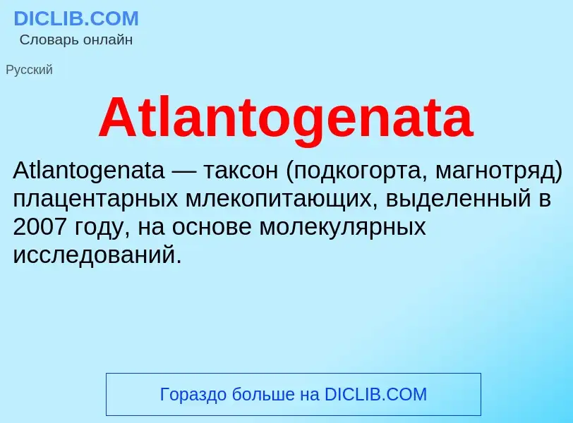 ¿Qué es Atlantogenata? - significado y definición