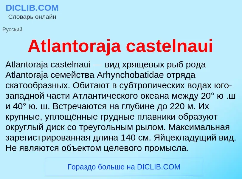 Τι είναι Atlantoraja castelnaui - ορισμός