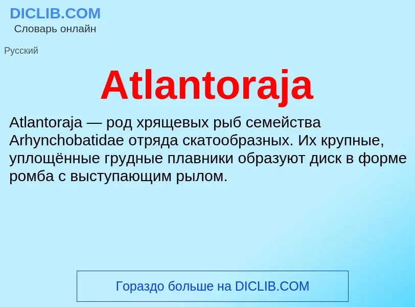 What is Atlantoraja - meaning and definition