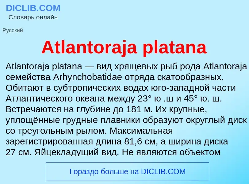 What is Atlantoraja platana - meaning and definition