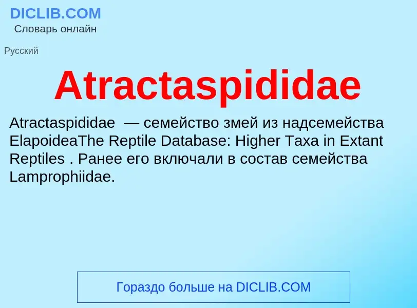 Τι είναι Atractaspididae - ορισμός