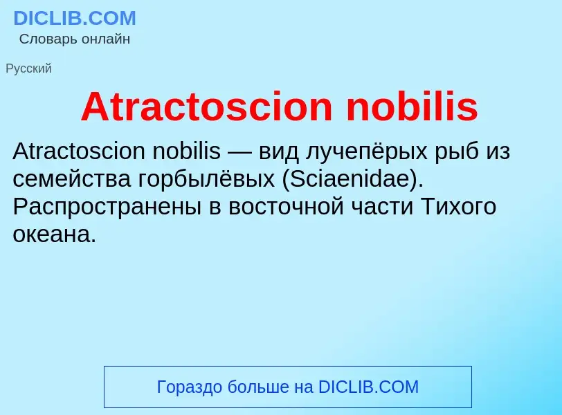 Was ist Atractoscion nobilis - Definition