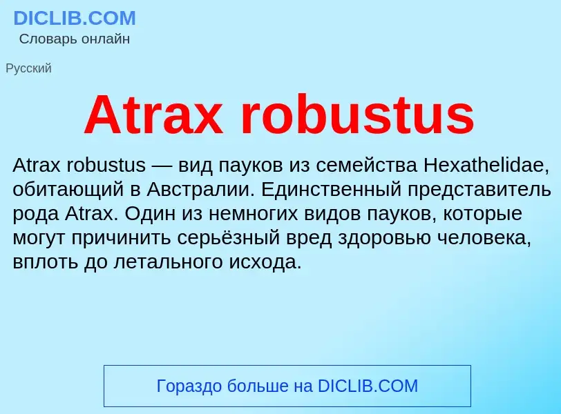 Was ist Atrax robustus - Definition