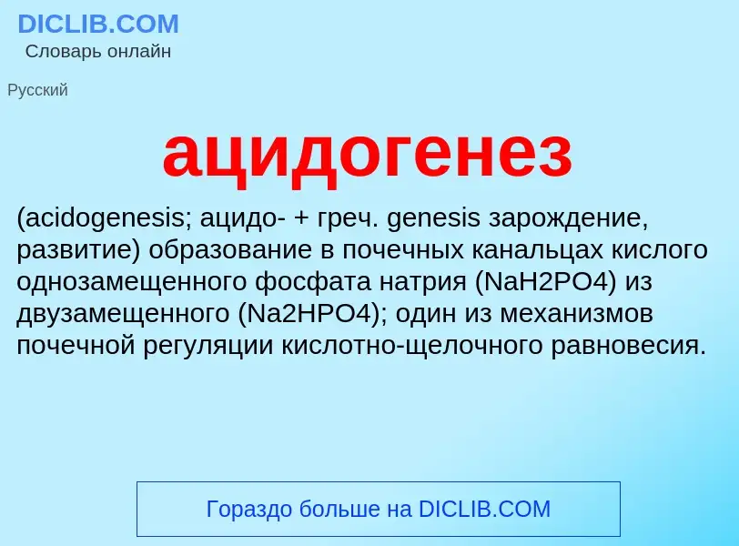 What is ацидогенез  - definition