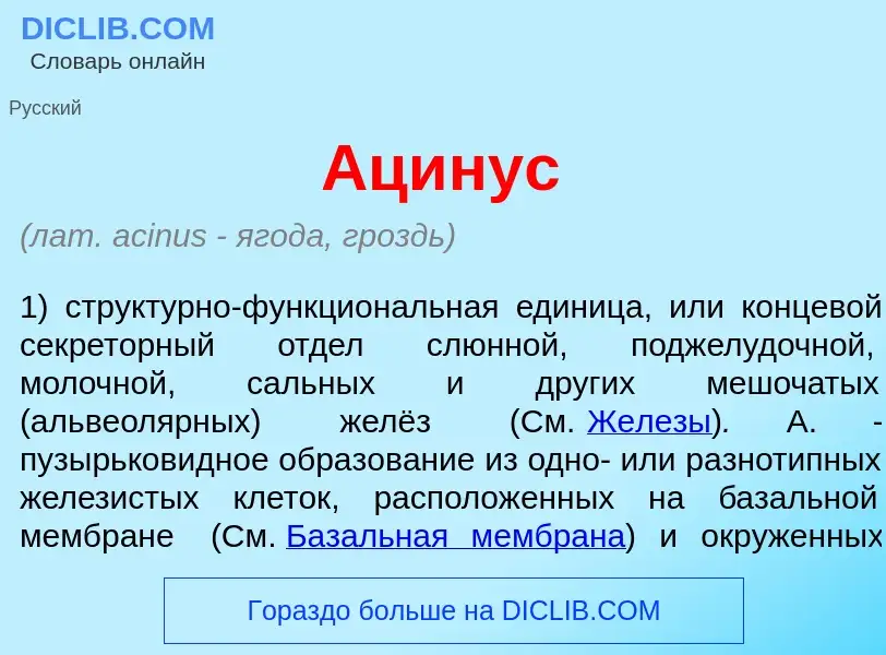 What is <font color="red">А</font>цинус - meaning and definition