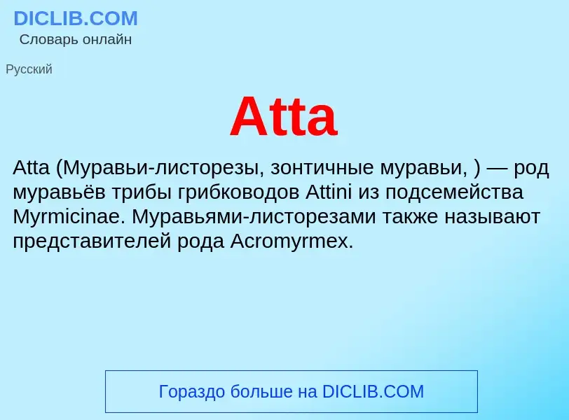 What is Atta - definition