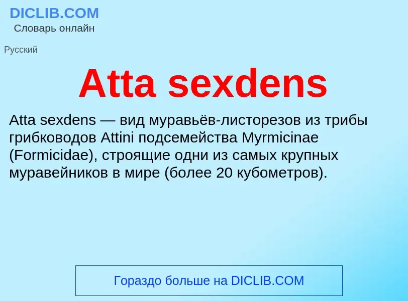 What is Atta sexdens - definition