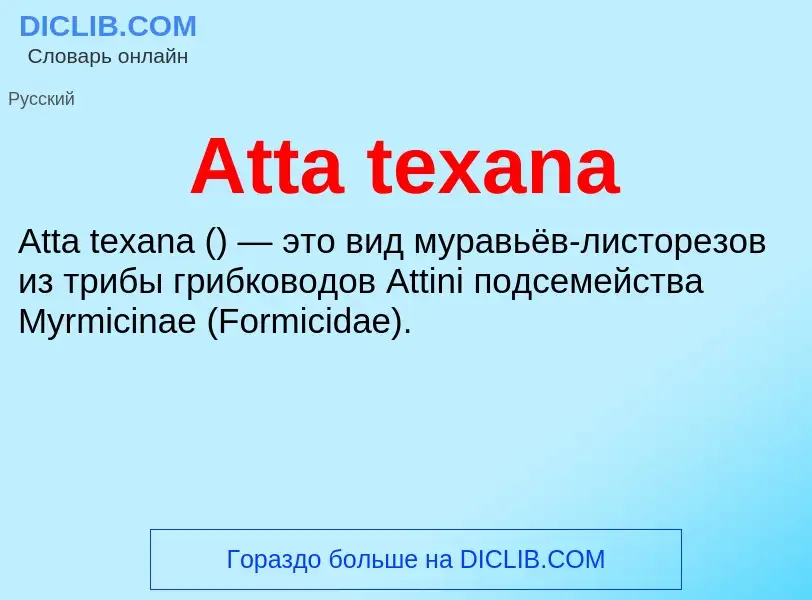 Τι είναι Atta texana - ορισμός