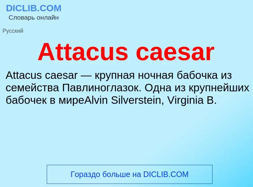 Τι είναι Attacus caesar - ορισμός