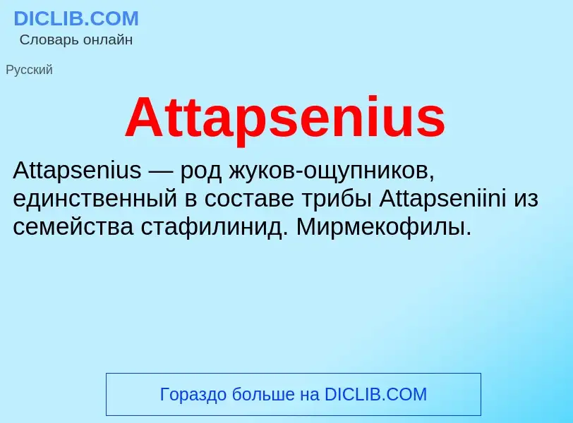 What is Attapsenius - definition