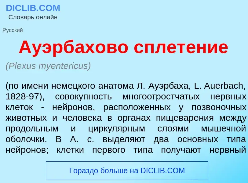 Что такое Ауэрб<font color="red">а</font>хово сплет<font color="red">е</font>ние - определение