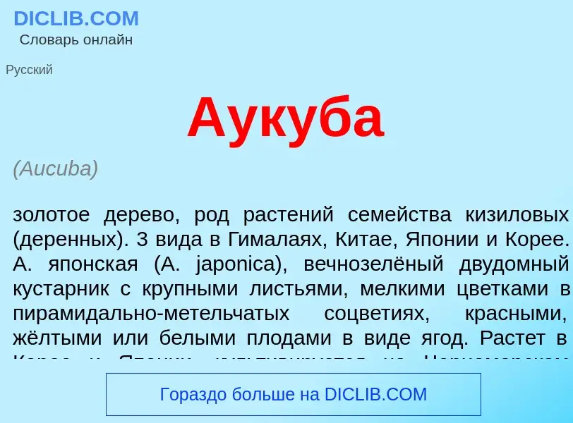 Was ist Аукуба - Definition