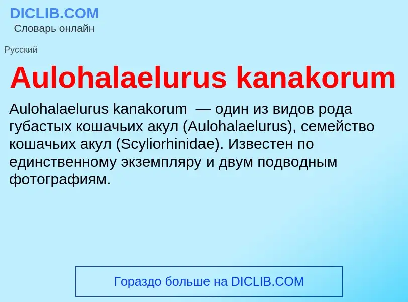 Τι είναι Aulohalaelurus kanakorum - ορισμός