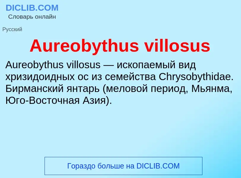 Was ist Aureobythus villosus - Definition