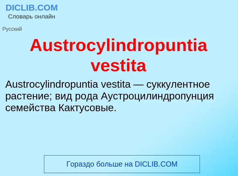 What is Austrocylindropuntia vestita - meaning and definition