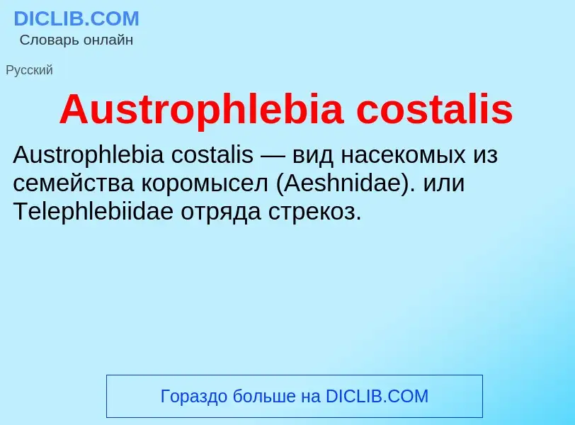 What is Austrophlebia costalis - definition