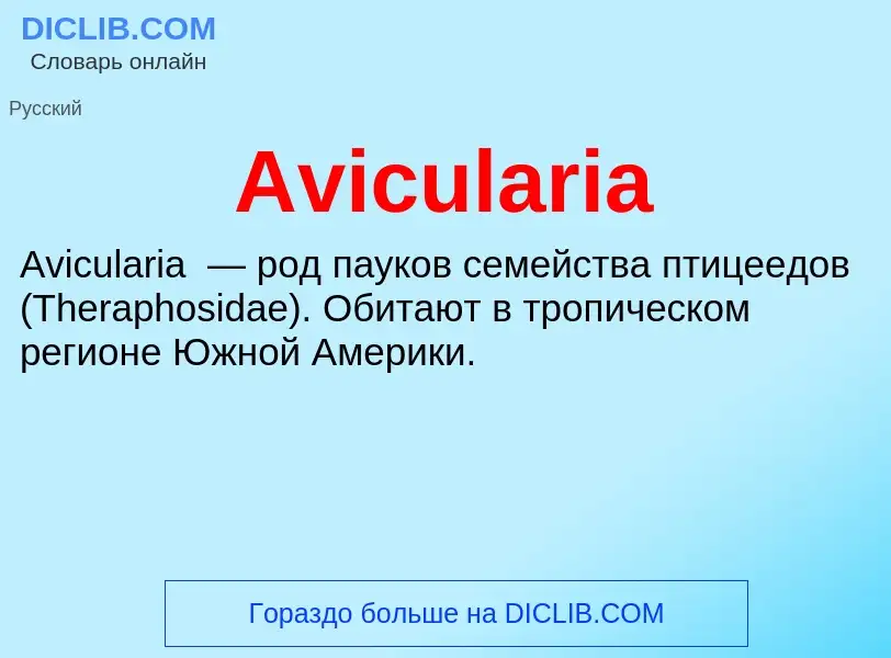 Τι είναι Avicularia - ορισμός