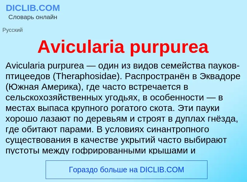 Che cos'è Avicularia purpurea - definizione