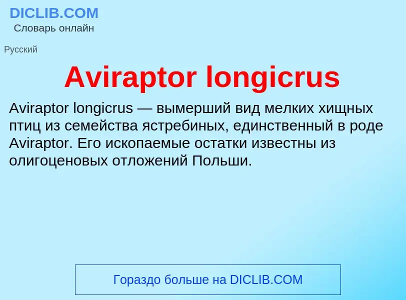 Che cos'è Aviraptor longicrus - definizione