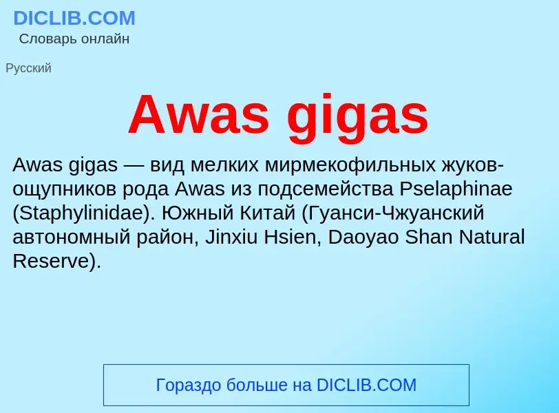 Was ist Awas gigas - Definition