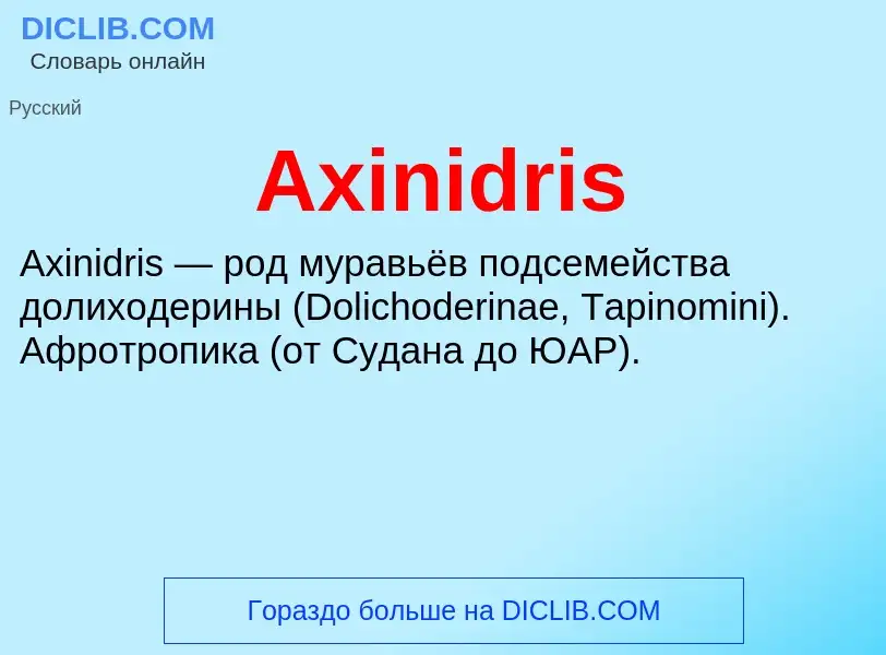 What is Axinidris - meaning and definition