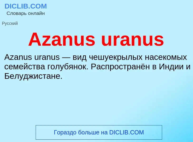 Что такое Azanus uranus - определение