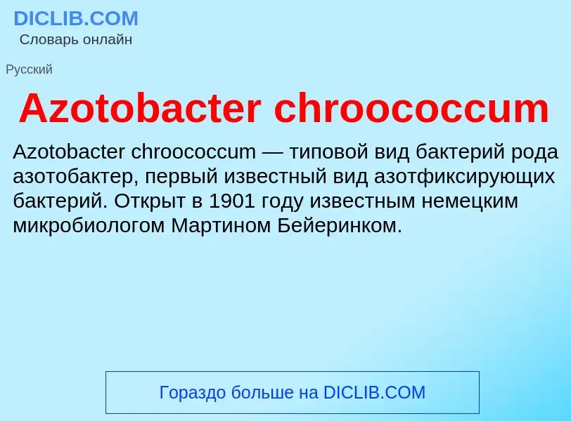 Что такое Azotobacter chroococcum - определение