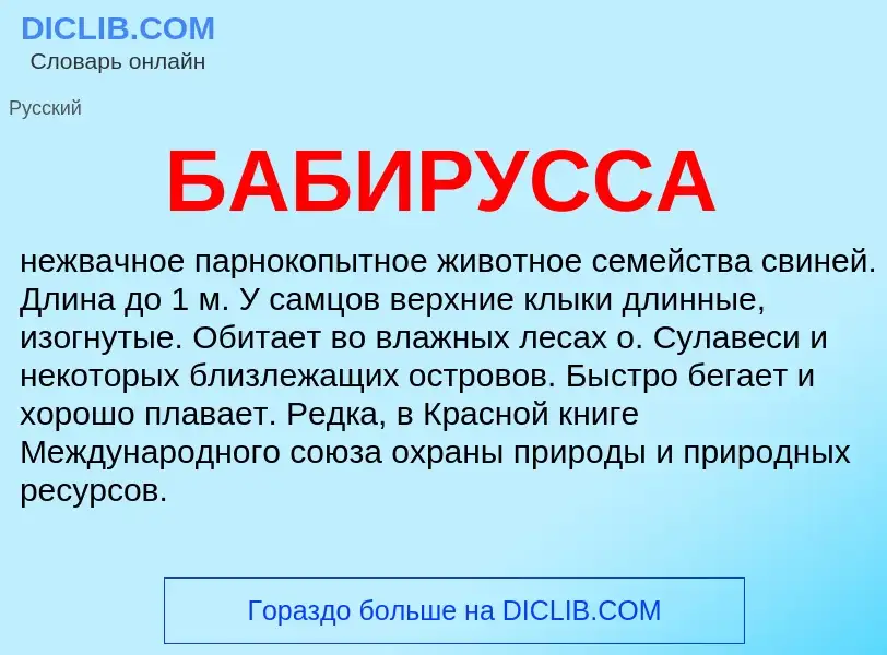 What is БАБИРУССА - definition