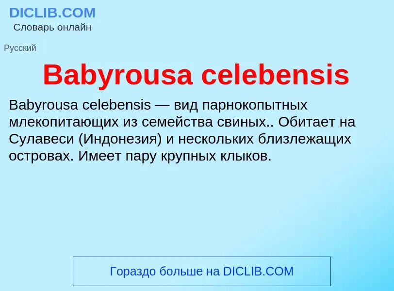 Τι είναι Babyrousa celebensis - ορισμός