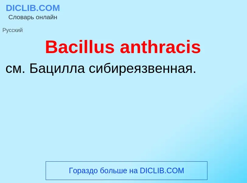 Что такое Bacillus anthracis - определение