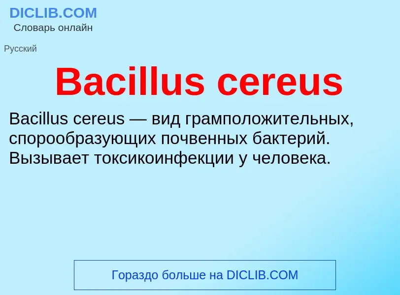 What is Bacillus cereus - meaning and definition