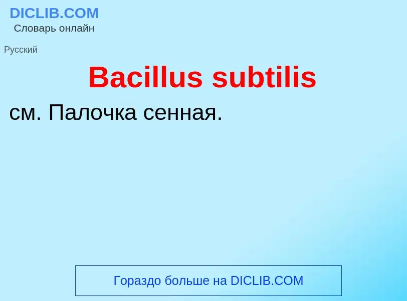 Что такое Bacillus subtilis - определение