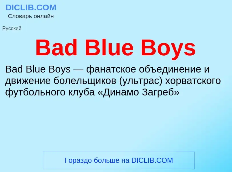 Was ist Bad Blue Boys - Definition