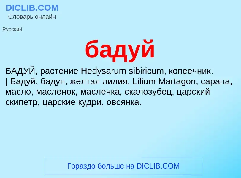 What is бадуй - meaning and definition